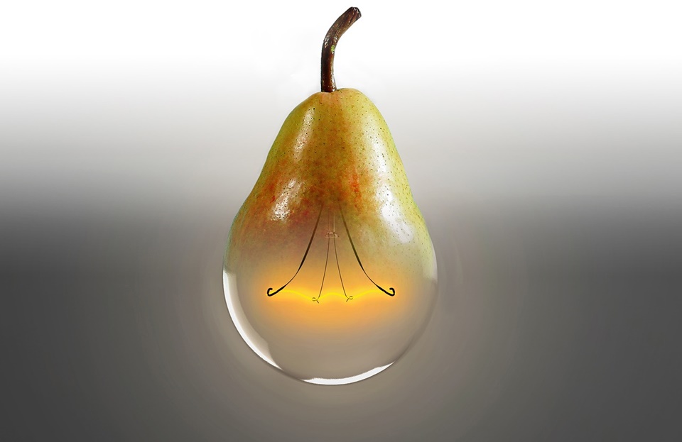 pear-2264962_1280.jpg